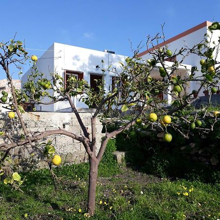 Maria Guesthouse Kini Bagian luar foto